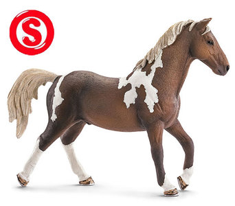 Trakehnen hengst