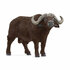 Schleich kafferbuffel