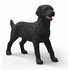 Schleich zwarte labrador retriever