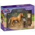 Schleich-42797-Emilys-verzorgingsset-a.JPG
