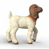 Schleich lam