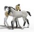 Schleich Marwari veulen