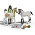 Schleich Paint veulen
