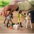 Schleich dierenarts