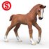 Schleich 81480 veulen Ruby